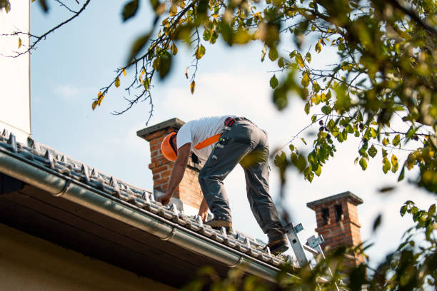 Best Roof Maintenance Services  in Belleville, PA