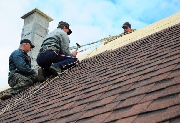 Best Flat Roof Repair Services  in Belleville, PA