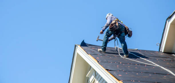 Best Roof Restoration Services  in Belleville, PA
